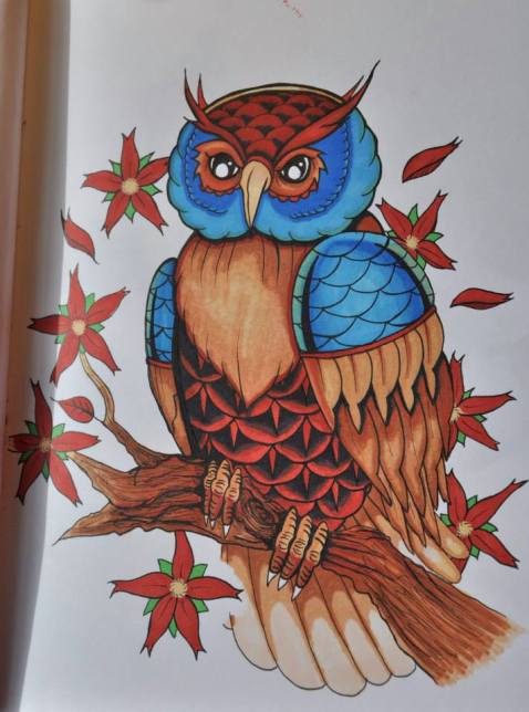 1780645_10152087844393020_1076976816_n