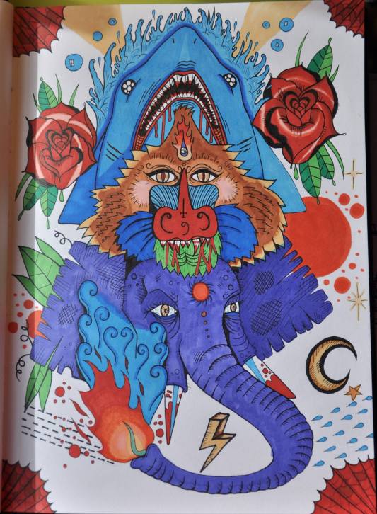 1962487_10152087839463020_1107508683_o